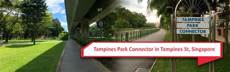 Tampines Park Connector In Tampines St Singapore Your Singapore Guide