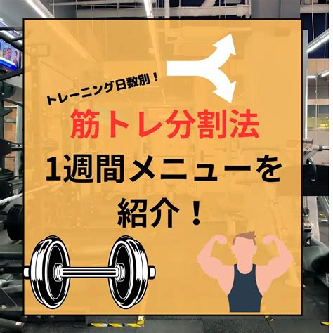 筋トレの分割法がおすすめな人とは？分割数ごとの1週間のトレーニングメニューを紹介 明日トレ術