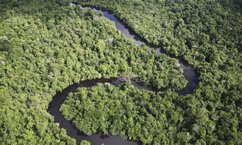 Amazon River | Photos | WWF