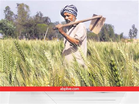 Top 5 Agriculture Schemes For Haryana Farmers And Haryana Govt Scheme