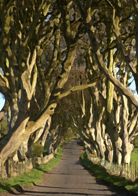 The Dark Hedges By Ian Stark On Deviantart