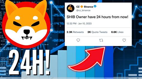 SHIBA INU ARMY IF YOU ARE HOLDING 1 000 000 SHIB TOKENS YOU NEED TO SEE