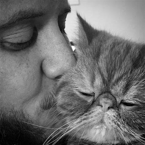 Hot Dudes With Kittens Is Still The Most Purrfect Instagram Account Ever 159 New Pics Bored