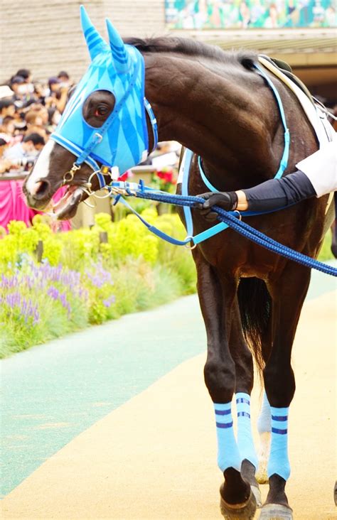 5月14日東京競馬⭐︎3歳1勝クラス⭐︎メモリーズオブユー 公式：黒澤ひかりのキラキラ日記～magic Kiss Lovers Only～