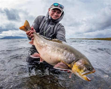 Fly Fishing In Alaska Fishing Lodge Experience No See Um Lodge