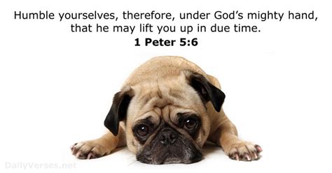 1 Peter 5:6 - Bible verse - DailyVerses.net