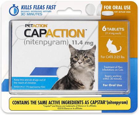 Best Flea Treatment For Cat | Top 21 Flea Treatment For Cats