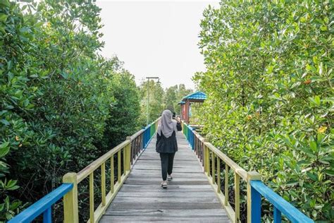 Taman Wisata Mangrove Newstempo