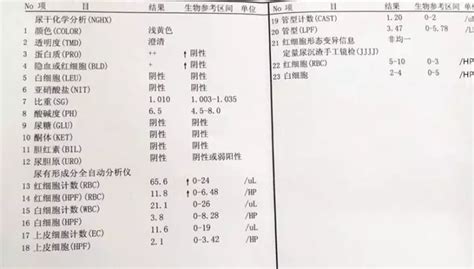 渔歌医疗 一文教您看懂尿常规化验单