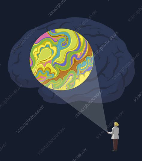 Brain Research Conceptual Illustration Stock Image C058 1573