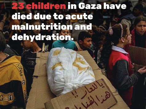 Al menos 23 niños murieron en Gaza por hambre y deshidratación Noticias Prensa Latina