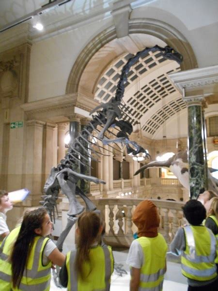 Primary school pupils become dinosaur experts at Bristol Museum & Art ...