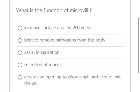 Solved What is the function of microvilli? increase surface | Chegg.com