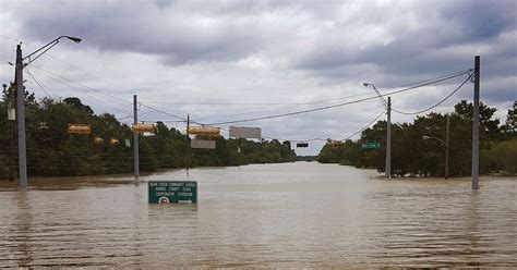 After the Storm: The Environmental Impacts of Natural Disasters | SWCA