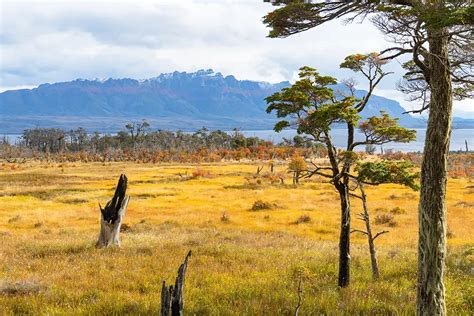 Qué ver en Puerto Natales 14 lugares imprescindibles Perder el Rumbo