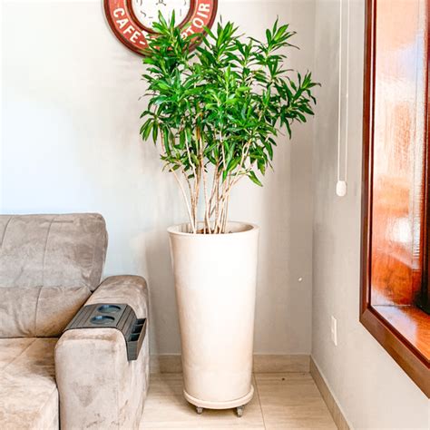 Vaso De Plantas Grande 79cm Bege Para Sala De Estar Decoração Leroy