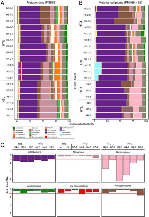 A And B Taxonomic Profiles On The Metagenome A And Download