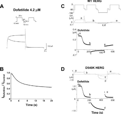 Figure From Molecular Determinants Of Herg Channel Block Semantic