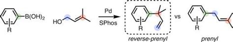 Palladium Catalyzed Prenylation Of Heteroaryl Boronic Acids