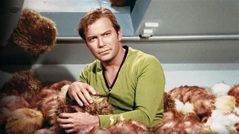 Star Trek's Fuzzy And Adorable Menaces, The Tribbles, Explained | GIANT ...