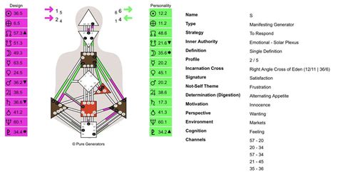 Conscious Sun Personality Rhumandesign