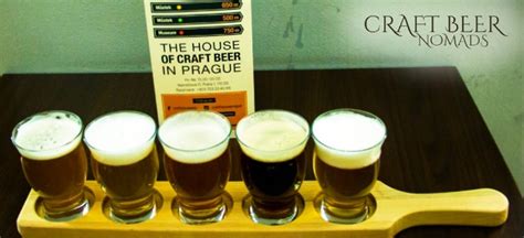 Beginner's guide for beer tasting | Craft Beer Nomads