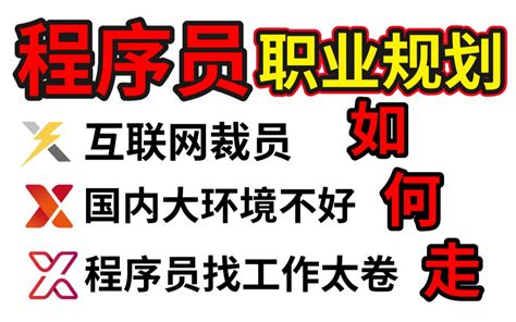 互联网裁员、国内大环境不好、程序员找工作太卷要求高，程序员职业发展到底应该怎么走 哔哩哔哩