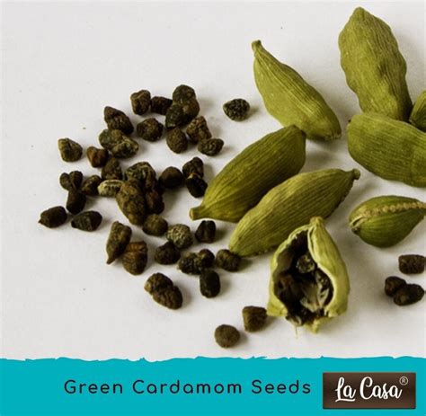 Premium Green Cardamom Seeds Elaichi Dana La Casa