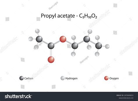 Molecular formula of propyl acetate. Propyl - Royalty Free Stock Vector ...