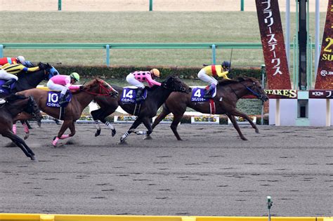 第33回 フェブラリーステークス 過去10年の傾向データ｜gⅠ特集｜競馬情報ならjra Van