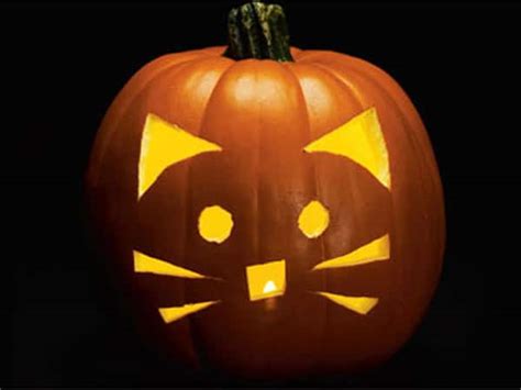 6 Cat-Themed Jack-o-Lantern Ideas for You and Your Kids - Catster