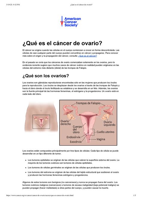 ¿qué Es El Cáncer De Ovario ¿qué Es El Cáncer De Ovario El Cáncer Se Origina Cuando Las