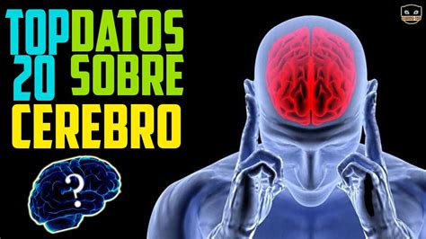 TOP 20 Datos Curiosos Del CEREBRO Curiositop YouTube