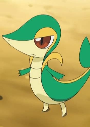 Snivy | Anime-Planet