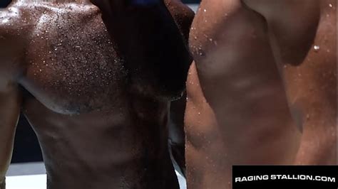 Ragingstallion Videos XVIDEOS