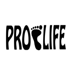 PRO LIFE – Vinyl Concepts Online