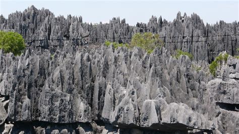 El Bosque de Piedras más grande del mundo para amantes de las aventuras