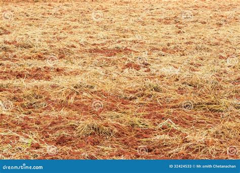 Soil Preparation for Planting Stock Image - Image of humus, green: 32424533