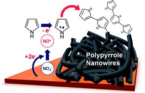 Single Step Synthesis Of Polypyrrole Nanowires By Cathodic