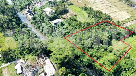 Dijual Tanah Los Sungai Lingkungan Villa Lodtunduh Ubud Bali Idrumah