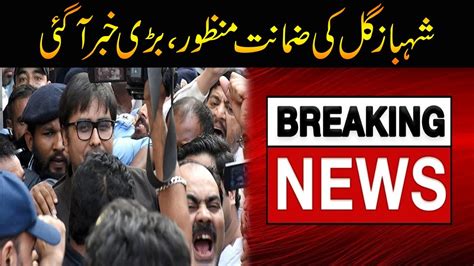 Breaking News Shahbaz Gill Bail Accepted Court Big Decision Youtube