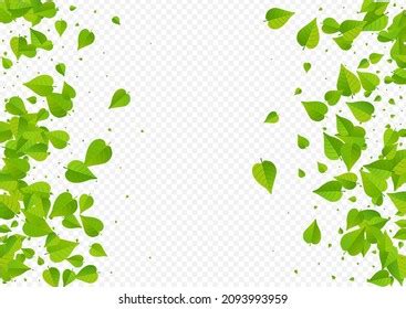 Swamp Foliage Flying Vector Transparent Background Stock Vector