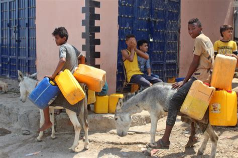 Donkeys turn into prized asset as Yemen economy sags | Inquirer News