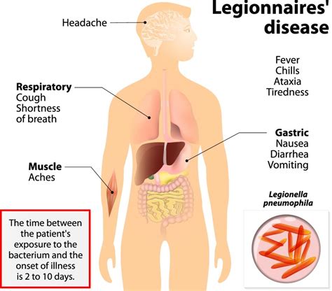 Biofilms And Legionella What You Can’t See Can Devastate Your Business Blue Earth Products