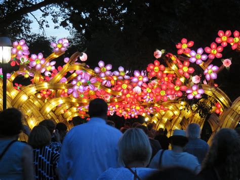 Missouri Botanical Gardens: Lantern Festival | Arch City Homes