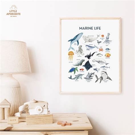 Marine Life Educational Poster for Underwater Nursery Beach - Etsy