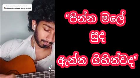 Pinna Male පනන මල Cover by Amisha Minol YouTube