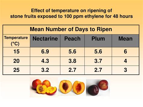 Ppt Ethylene And Fruit Ripening Powerpoint Presentation Free