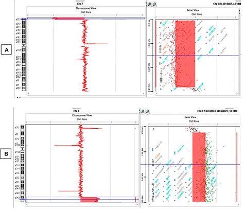 Frontiers Case Report P Deletion And Q Duplication In A