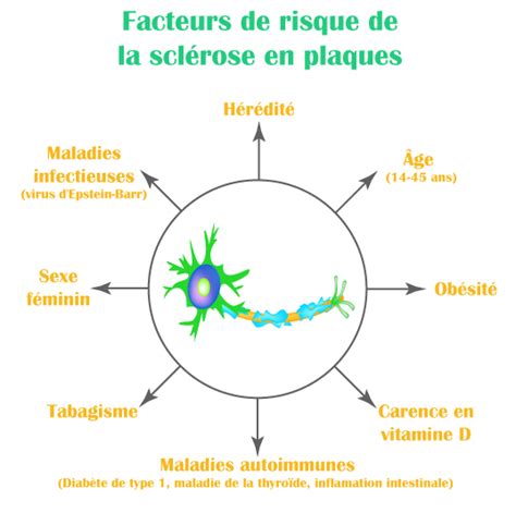 Sclérose en plaques symptômes et traitements